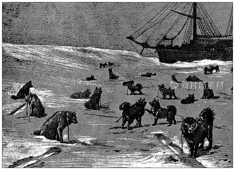 古董插图:Fridtjof Nansen北极探险队